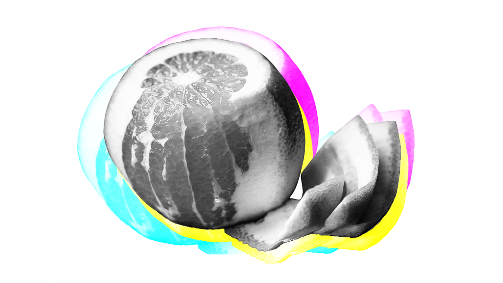 Les choses ont-elles une essence?